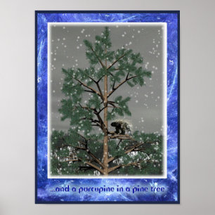 Póster Y Un Porcupine En Un Árbol De Pino