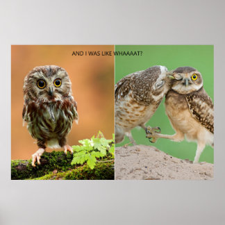 Póster ¿Y Yo Era Como Whaaaaat?