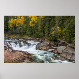 Póster Yaak Cae En Otoño En El País De Kootenai