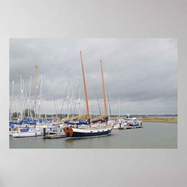 Póster Yacht Barn Owl (Frente)