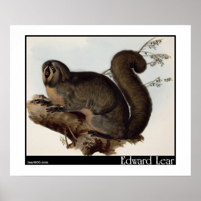 Póster Yarke de Edward Lear (Frente)
