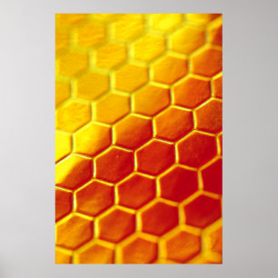 Póster Yellow and brown floor tiles