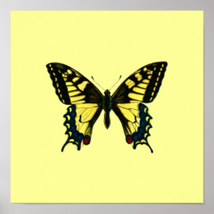 Póster Yellow Butterfly Poster