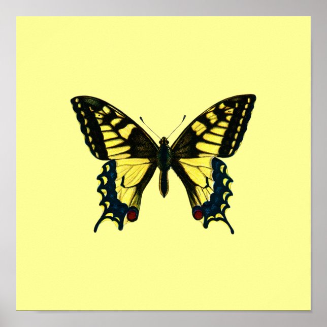 Póster Yellow Butterfly Poster (Frente)