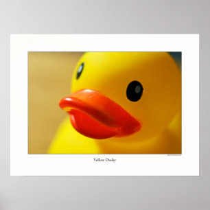 Póster Yellow Ducky