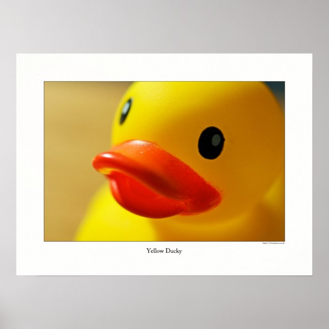 Póster Yellow Ducky (Frente)
