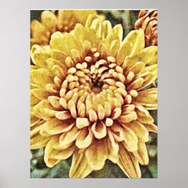 Póster Yellow Gold Mum Flower Photographic Art Print