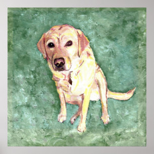 Póster Yellow Lab