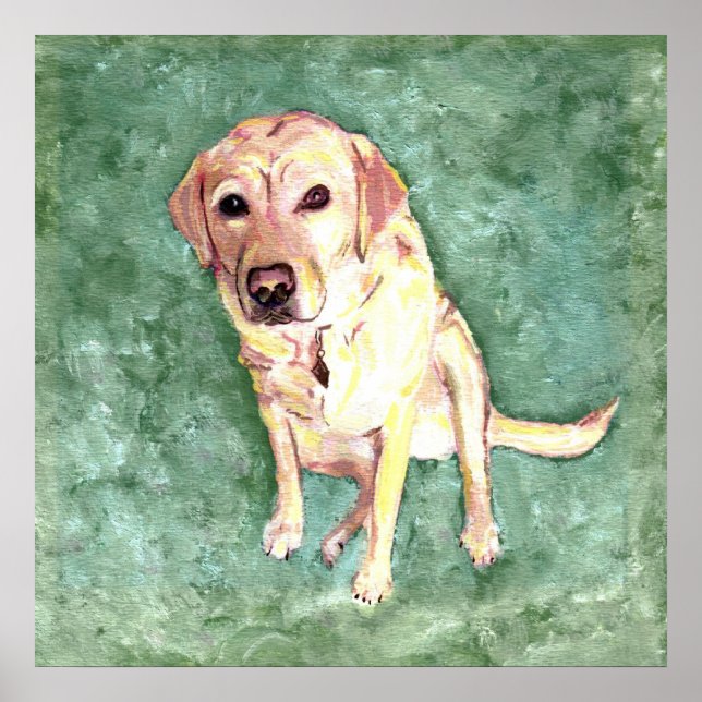Póster Yellow Lab (Frente)
