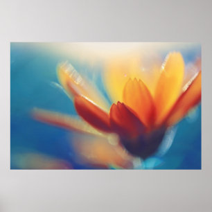 Póster Yellow Orange Marigold Flower on Blue