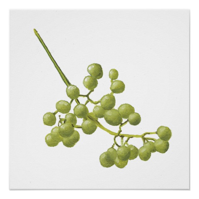 Póster Yellow Peppercorns - Botanical Study 2 (Anverso)