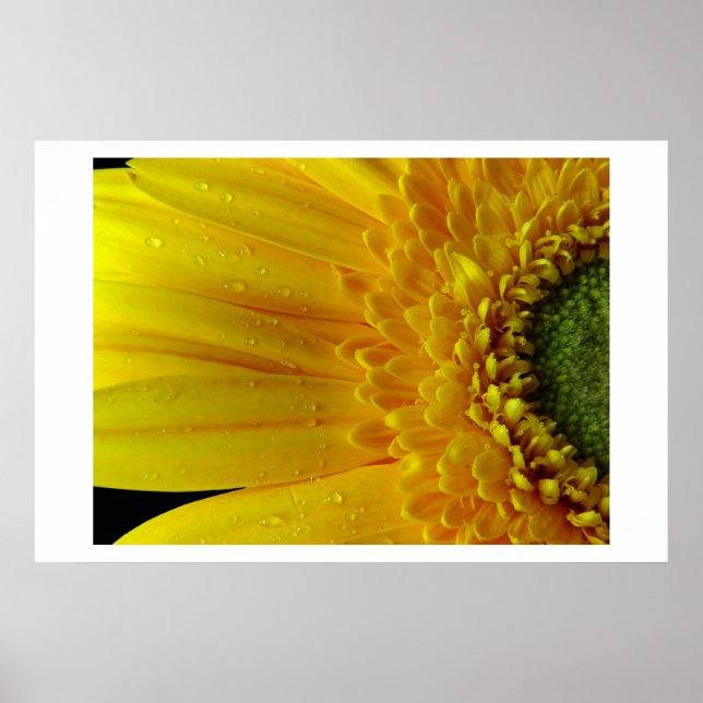 Póster Yellow Petals (Frente)