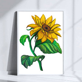 Póster Yellow Sunflower Drawing Colored Pencil Art