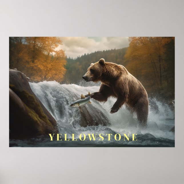 Póster Yellowstone Bear Poster Art (Frente)