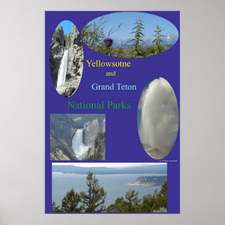 Póster Yellowstone & Grand Teton