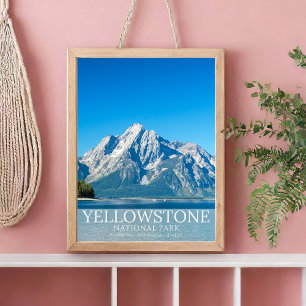 Póster Yellowstone National park Forest Landscape Photo