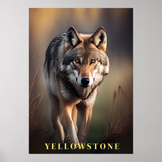 Póster Yellowstone Wolf Poster Art (Frente)