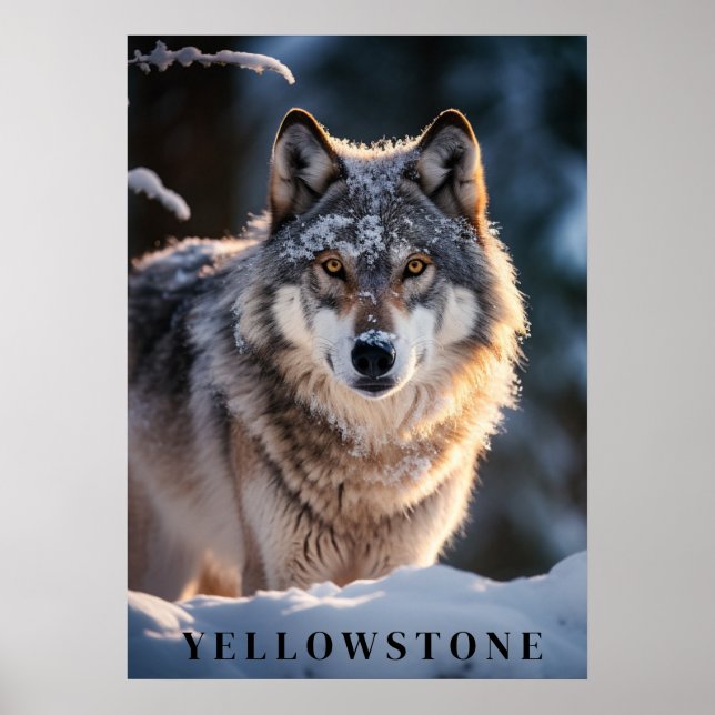 Póster Yellowstone Wolf Poster Art (Frente)