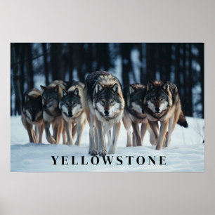 Póster Yellowstone Wolves Poster Art