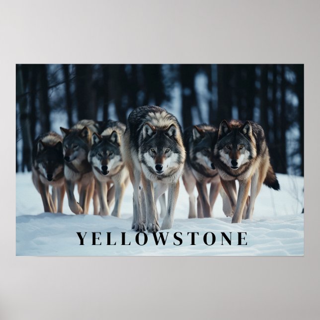 Póster Yellowstone Wolves Poster Art (Frente)