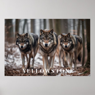Póster Yellowstone Wolves Poster Art