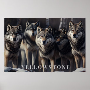 Póster Yellowstone Wolves Poster Art