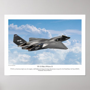 Póster YF-23 Black Widow II