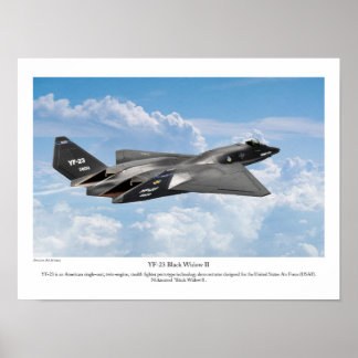 Póster YF-23 Black Widow II