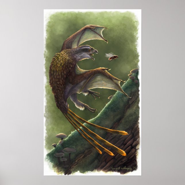 Póster Yi qi (Frente)