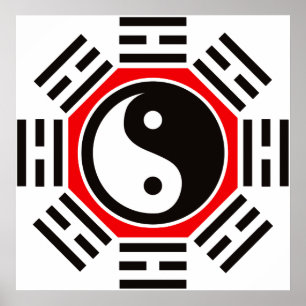 PÓSTER YIN Y YANG
