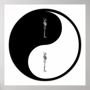 Póster Yin Yang Chiropractic