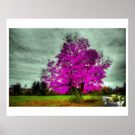 Póster Yo Dios jugaba a los dados con el Poster Universo