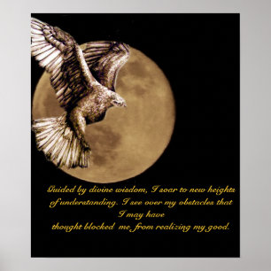 Póster Yo soar_ Poster
