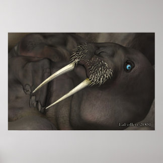 Póster Yo Soy La Walrus