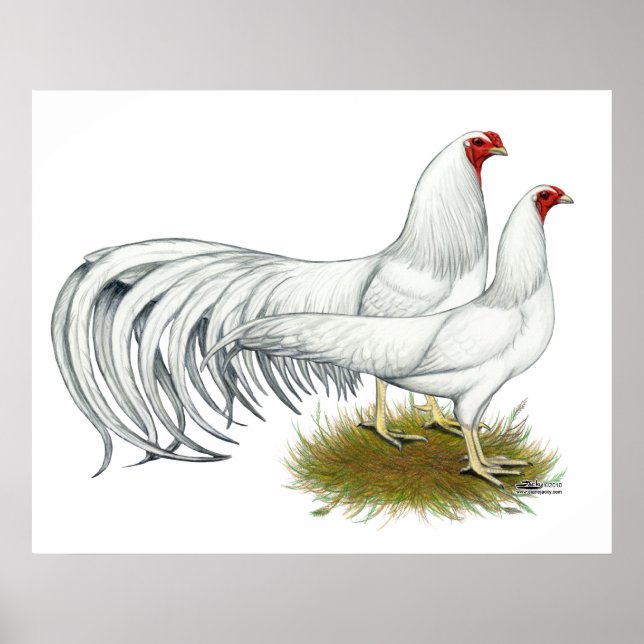 Póster Yokohama: Par Blanco (Frente)