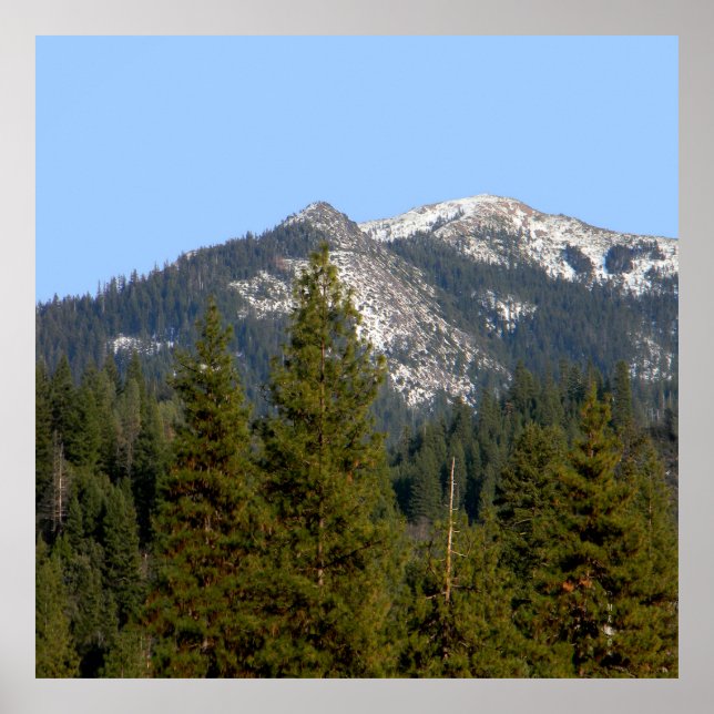 Póster Yolla Bollies with fresh powdered snow..... (Frente)