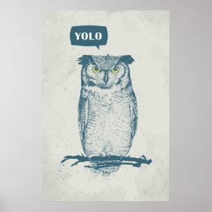 PÓSTER YOLO