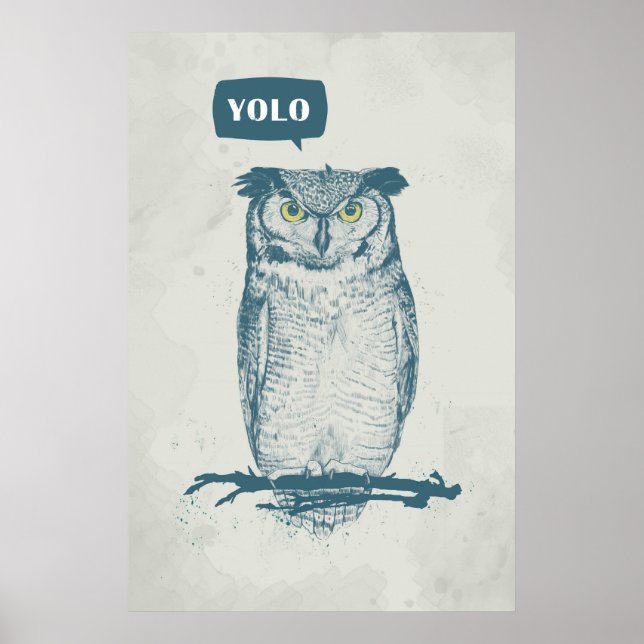 PÓSTER YOLO (Frente)