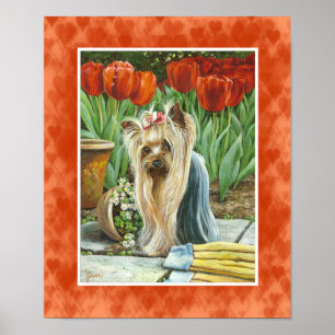 Póster Yorkie en Tulip Garden Canvas Print
