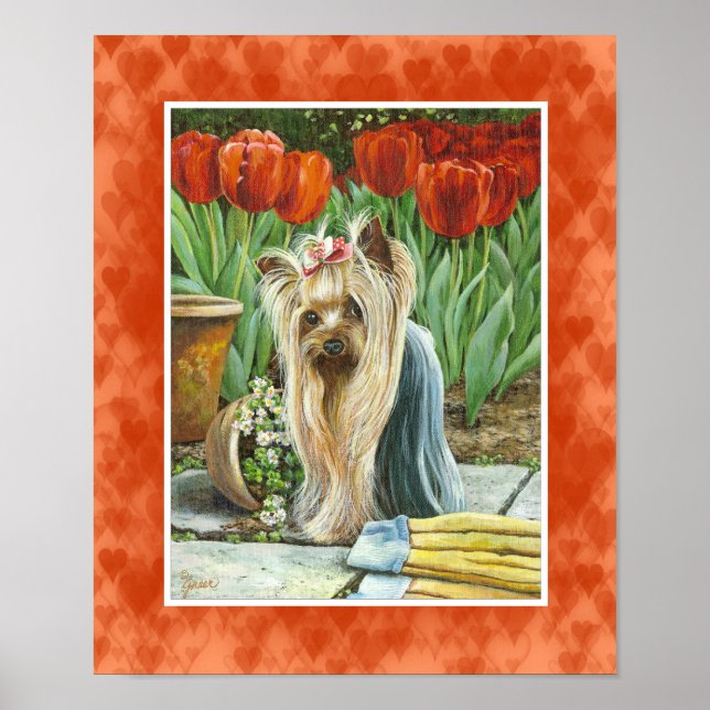 Póster Yorkie en Tulip Garden Canvas Print (Frente)