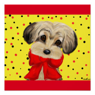 Póster Yorkie Poo