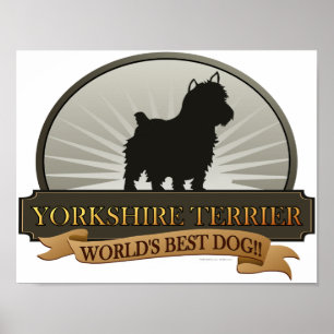 Póster Yorkshire Terrier