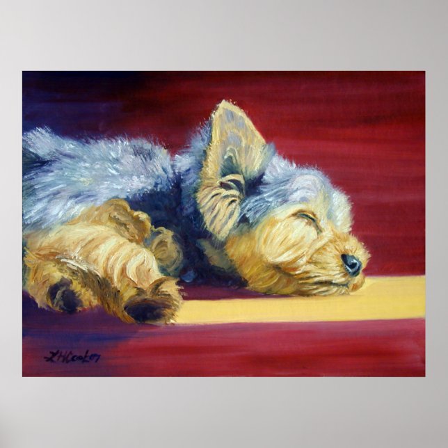 Póster Yorkshire Terrier (Frente)