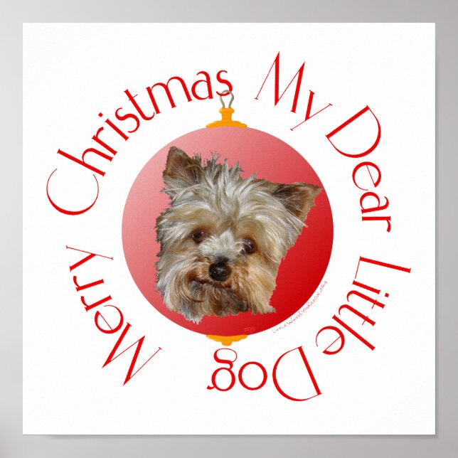Póster Yorkshire Terrier de Navidad (Frente)