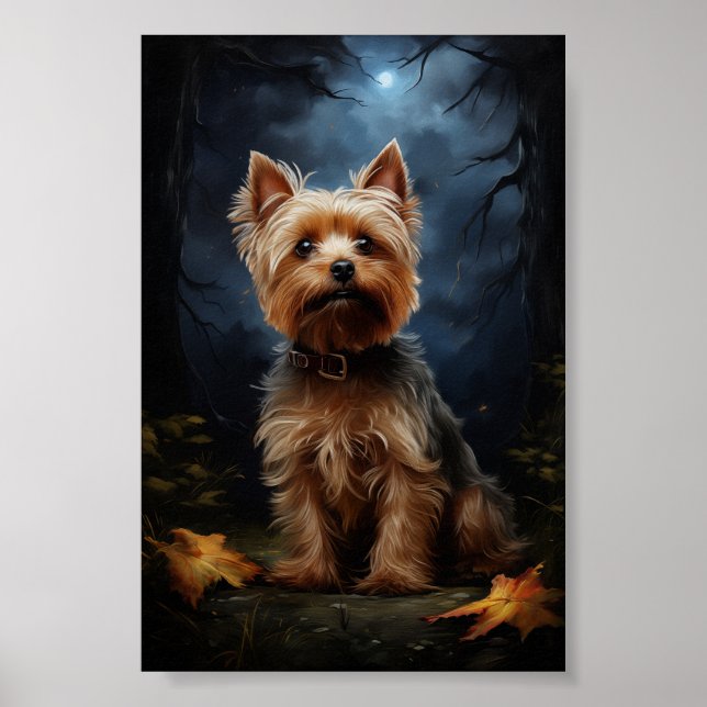 Póster Yorkshire terrier en una noche de luna (Frente)