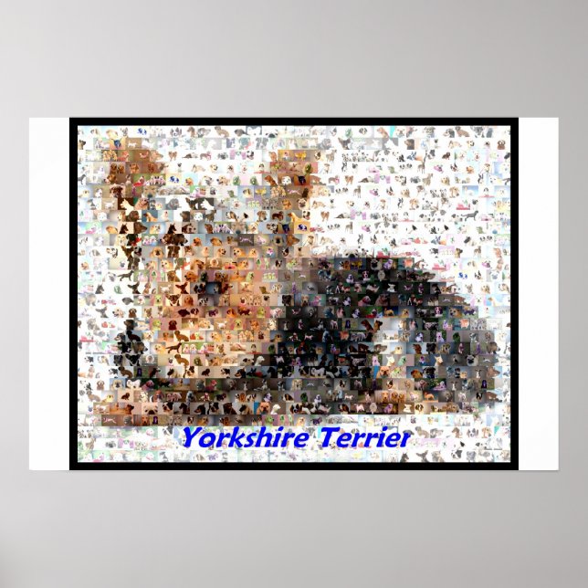 Póster Yorkshire Terrier Montage (Frente)