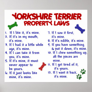 PÓSTER YORKSHIRE TERRIER PL2