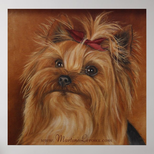 Póster Yorkshire Terrier Poster (Frente)