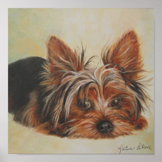 Póster Yorkshire Terrier Poster (Frente)