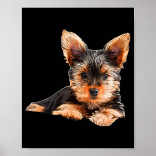 Póster Yorkshire terrier Yorkie Puppy Dog